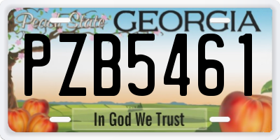 GA license plate PZB5461