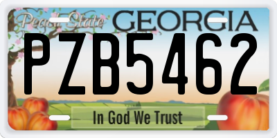 GA license plate PZB5462