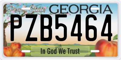 GA license plate PZB5464