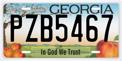 GA license plate PZB5467