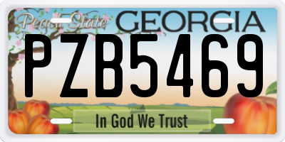 GA license plate PZB5469
