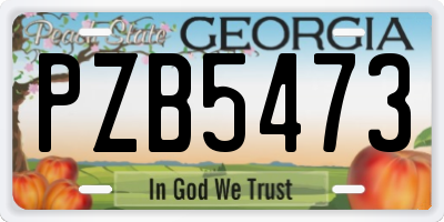 GA license plate PZB5473