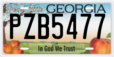 GA license plate PZB5477