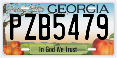 GA license plate PZB5479