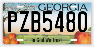 GA license plate PZB5480
