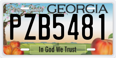 GA license plate PZB5481