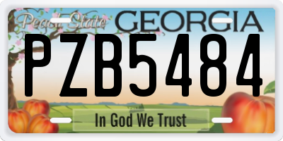 GA license plate PZB5484