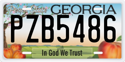 GA license plate PZB5486