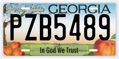 GA license plate PZB5489