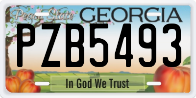 GA license plate PZB5493