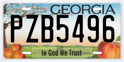 GA license plate PZB5496