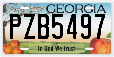 GA license plate PZB5497