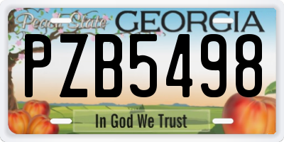 GA license plate PZB5498