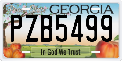 GA license plate PZB5499