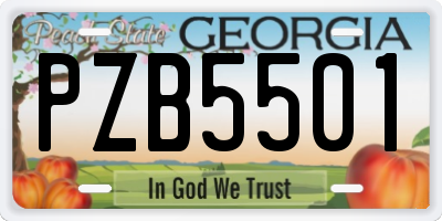 GA license plate PZB5501