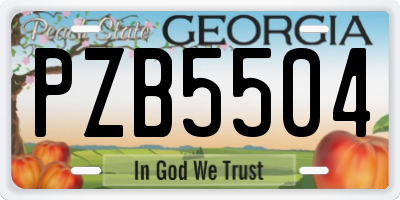 GA license plate PZB5504