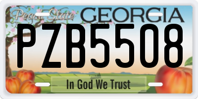 GA license plate PZB5508