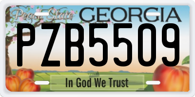 GA license plate PZB5509