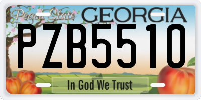 GA license plate PZB5510