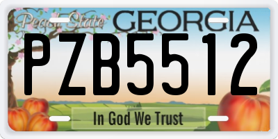 GA license plate PZB5512