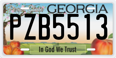 GA license plate PZB5513