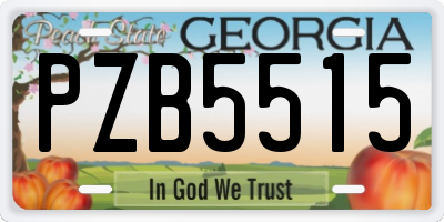GA license plate PZB5515