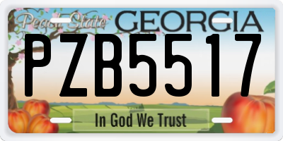 GA license plate PZB5517