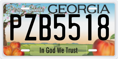 GA license plate PZB5518