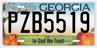 GA license plate PZB5519