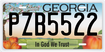 GA license plate PZB5522