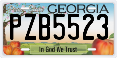 GA license plate PZB5523