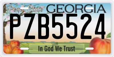 GA license plate PZB5524
