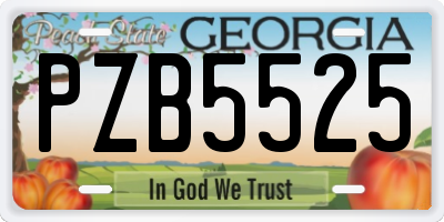 GA license plate PZB5525