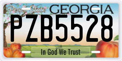 GA license plate PZB5528