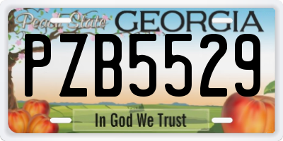 GA license plate PZB5529