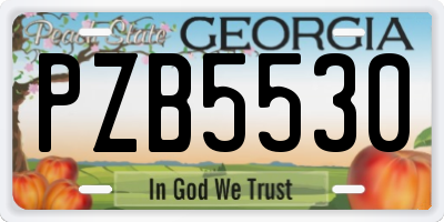 GA license plate PZB5530