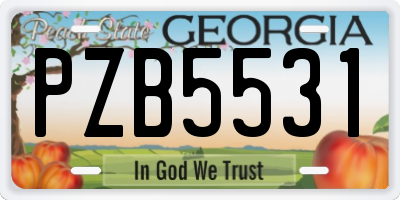 GA license plate PZB5531