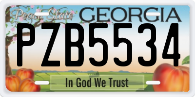 GA license plate PZB5534