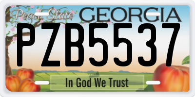 GA license plate PZB5537