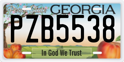 GA license plate PZB5538
