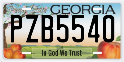 GA license plate PZB5540