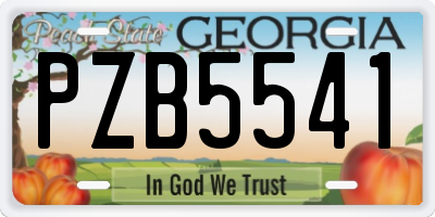 GA license plate PZB5541