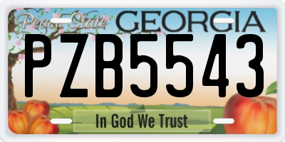 GA license plate PZB5543