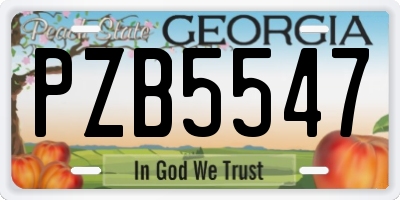 GA license plate PZB5547