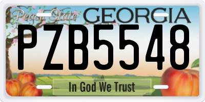 GA license plate PZB5548