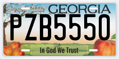 GA license plate PZB5550