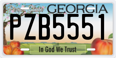 GA license plate PZB5551