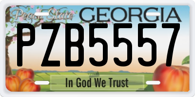 GA license plate PZB5557