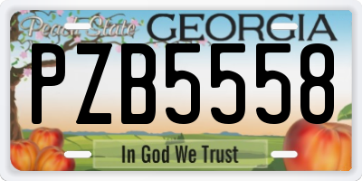 GA license plate PZB5558