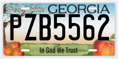GA license plate PZB5562